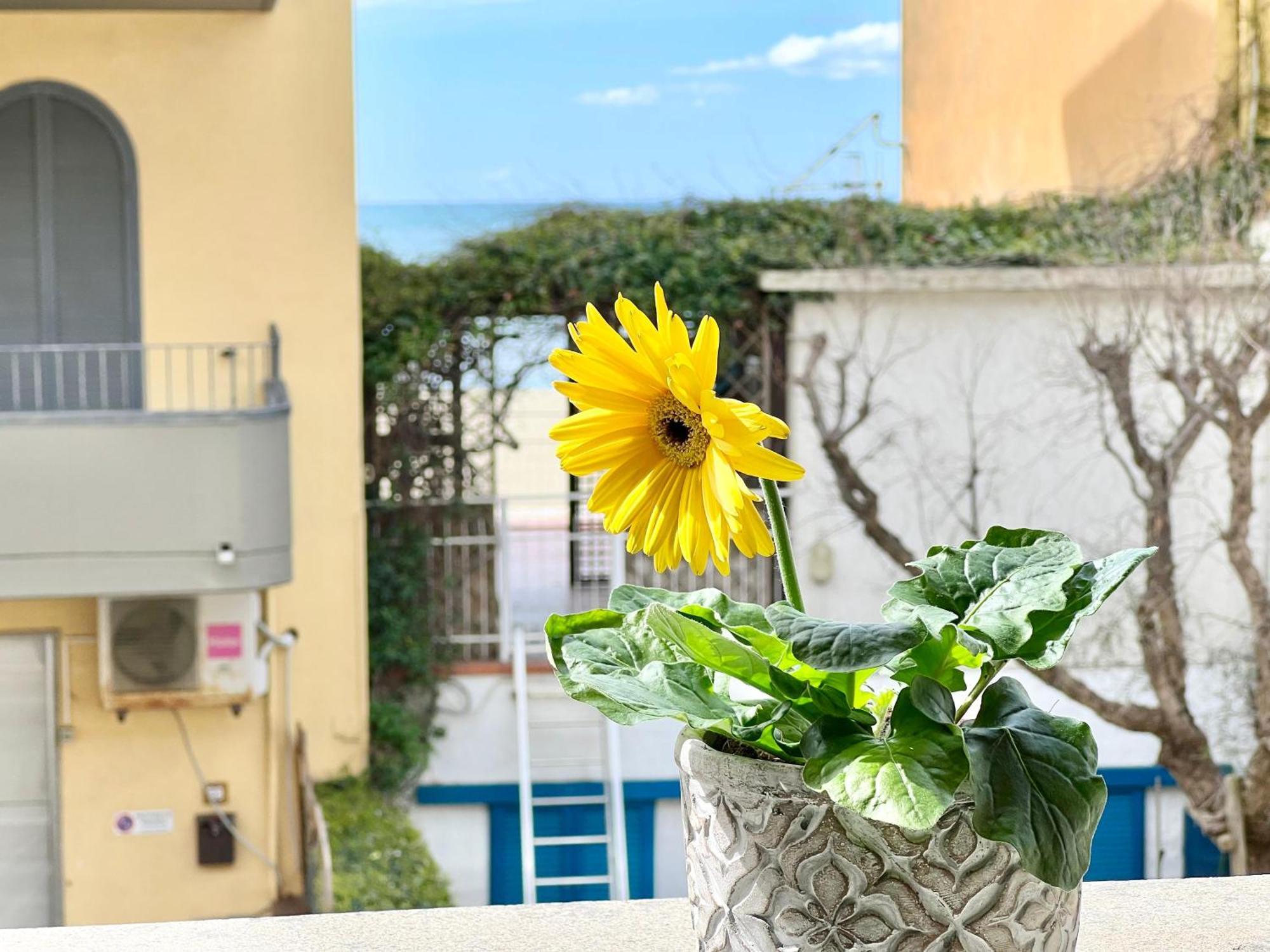 קסטליונה דלה פסקאיה Mono Rosina, Aria Condizionata E Balcone A Soli 50 Metri Dal Mare! By Alfareal מראה חיצוני תמונה